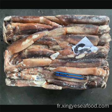 Squid rond entier gelé Illex Argentinus